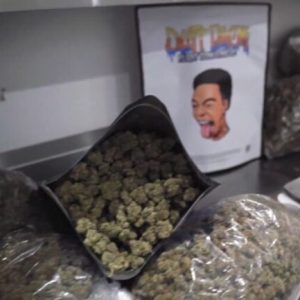 Dutt Pack Weed Strawberry Champagne Pound Wholesale