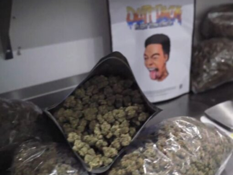 Dutt Pack Weed Strawberry Champagne Pound Wholesale
