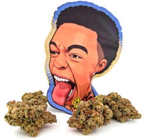 Strawberry Champagne Dutt Pack Weed Pound Bag (448g)