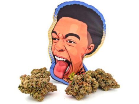 Strawberry Champagne Dutt Pack Weed Pound Bag (448g)